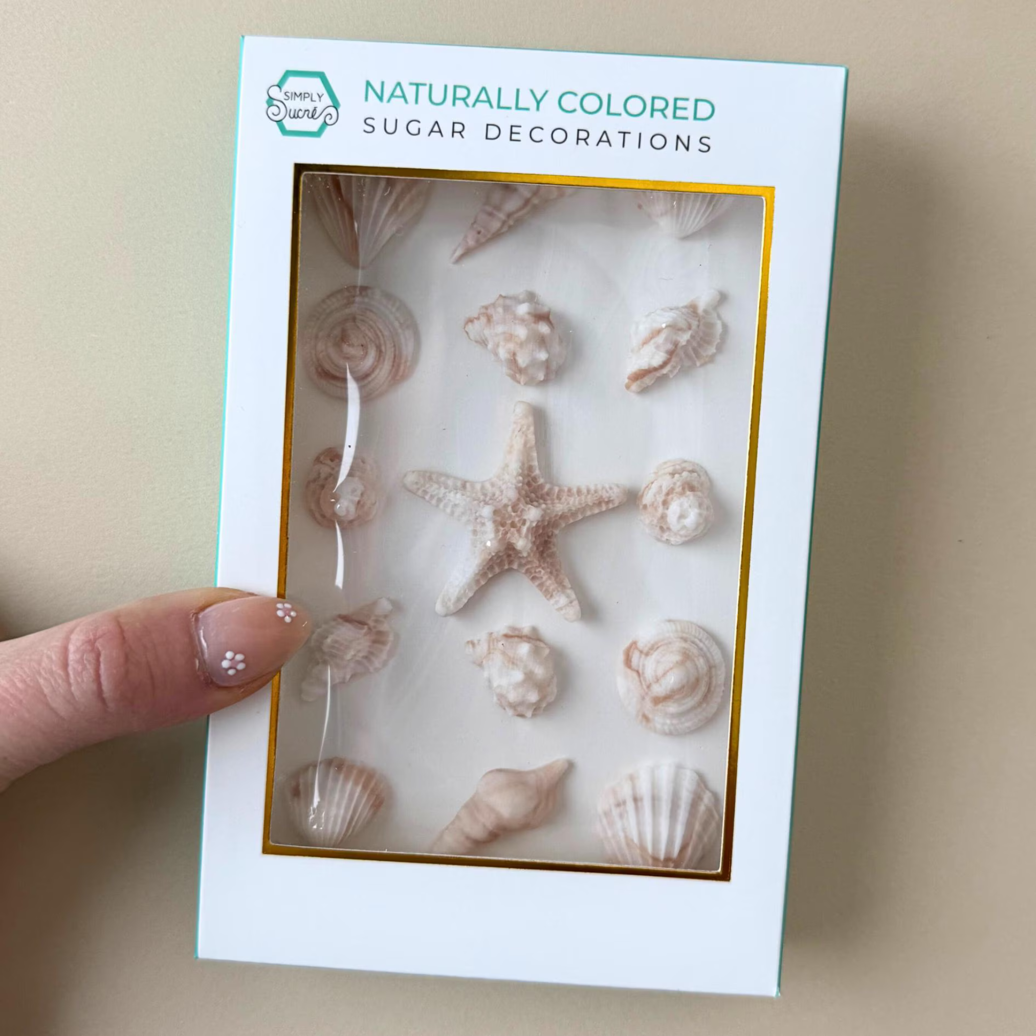 Dye-Free Natural Seashells (15)