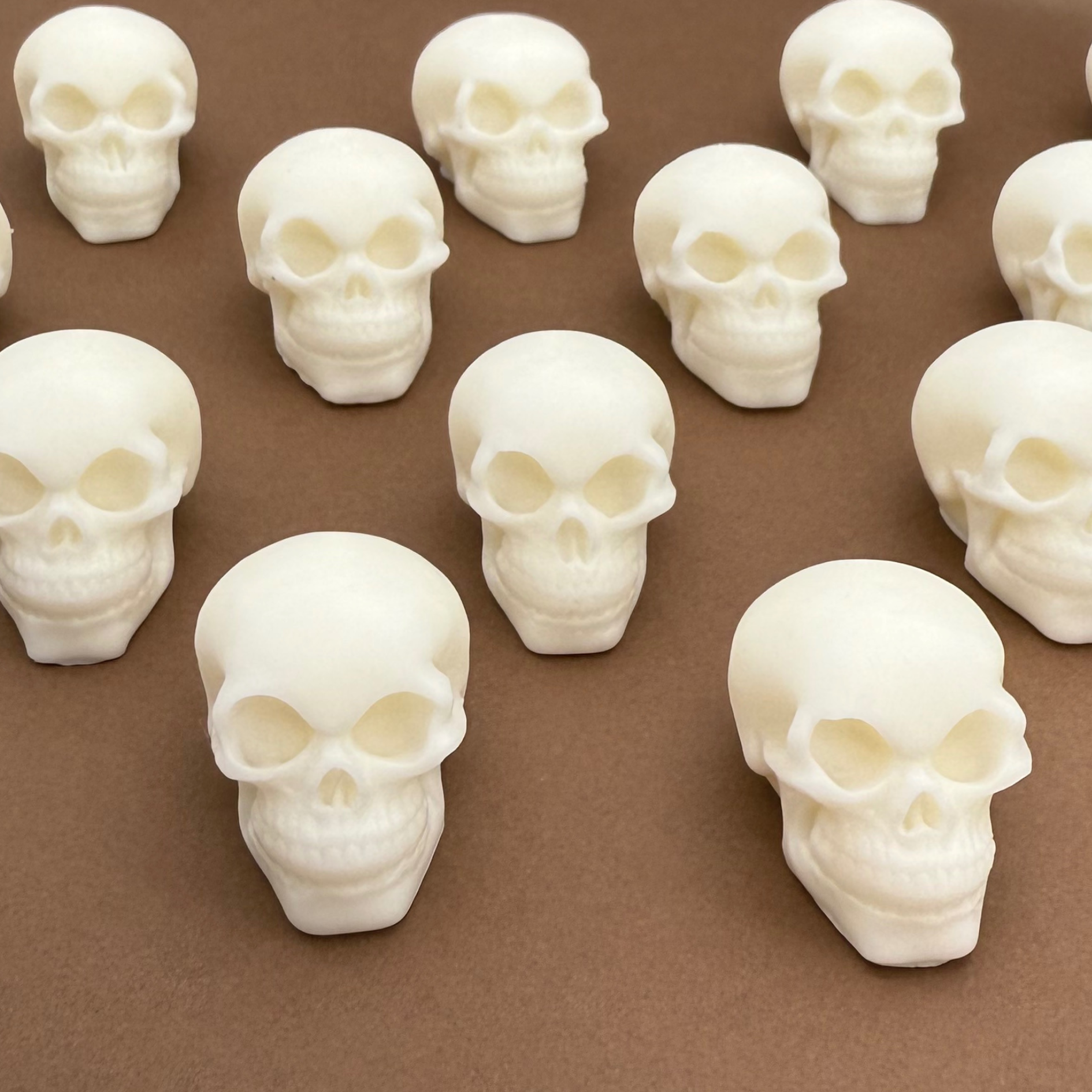 Dye-Free White Skulls (6)
