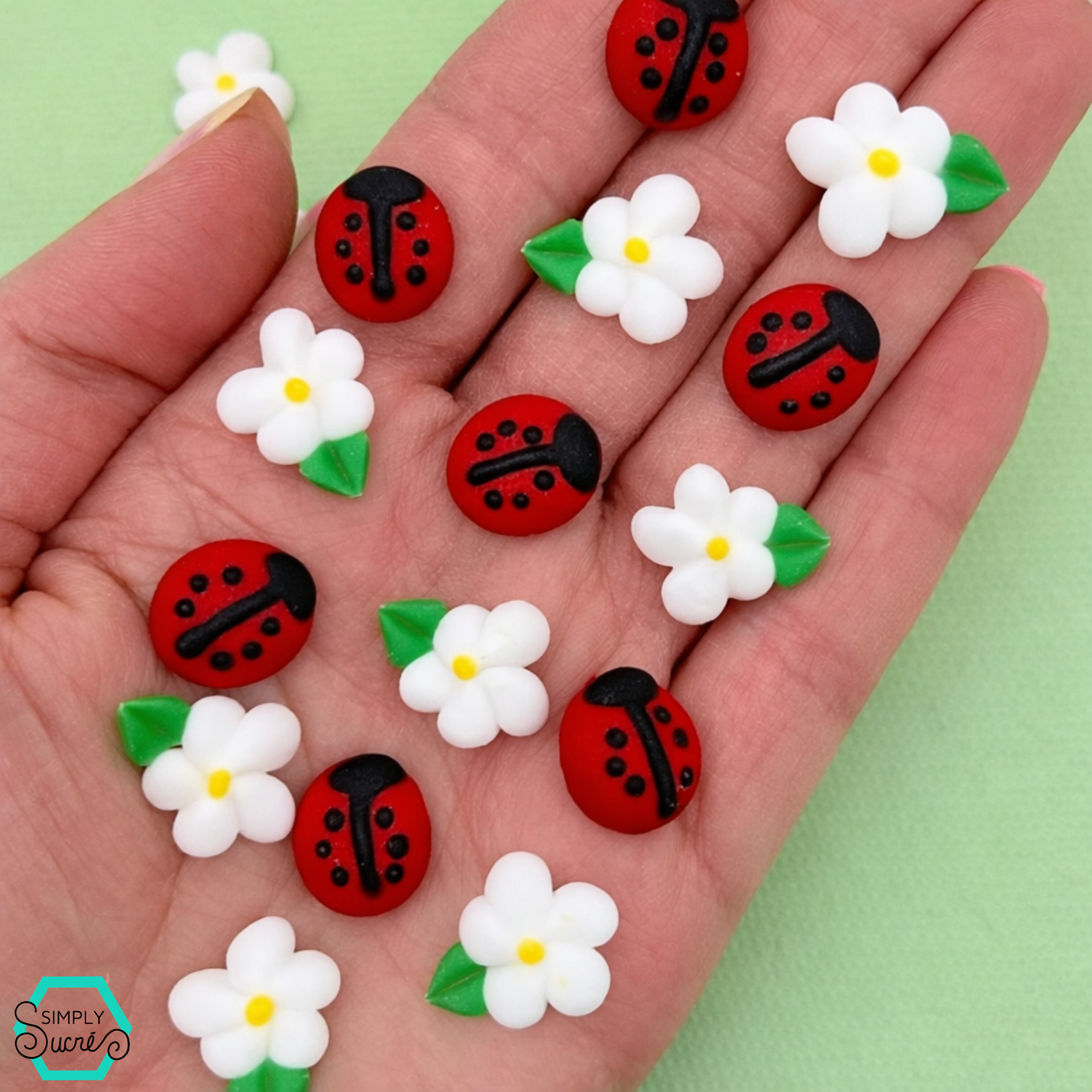 Icing Ladybugs & Daisies (18)