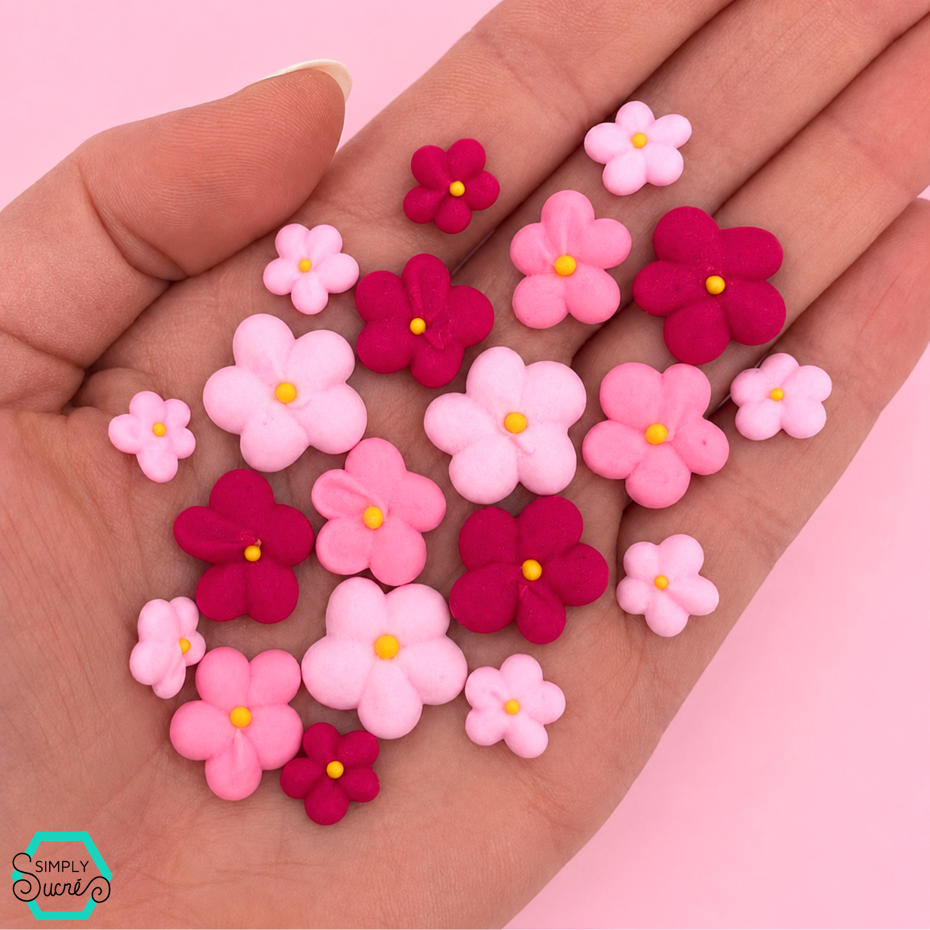 Dye- Free Ombre Pink Blossoms (54)