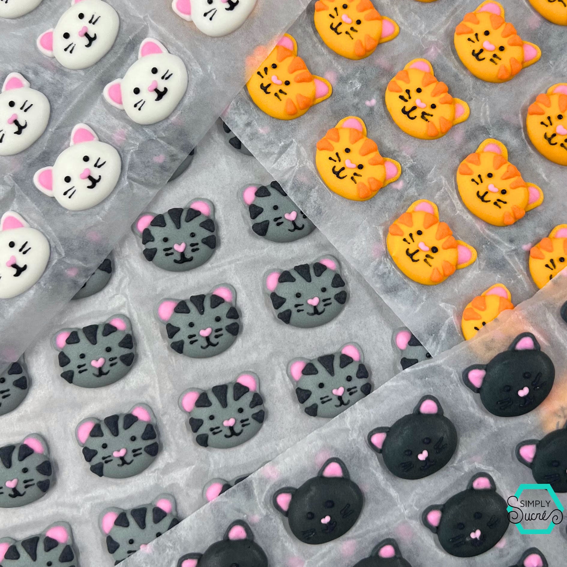 Icing Cats