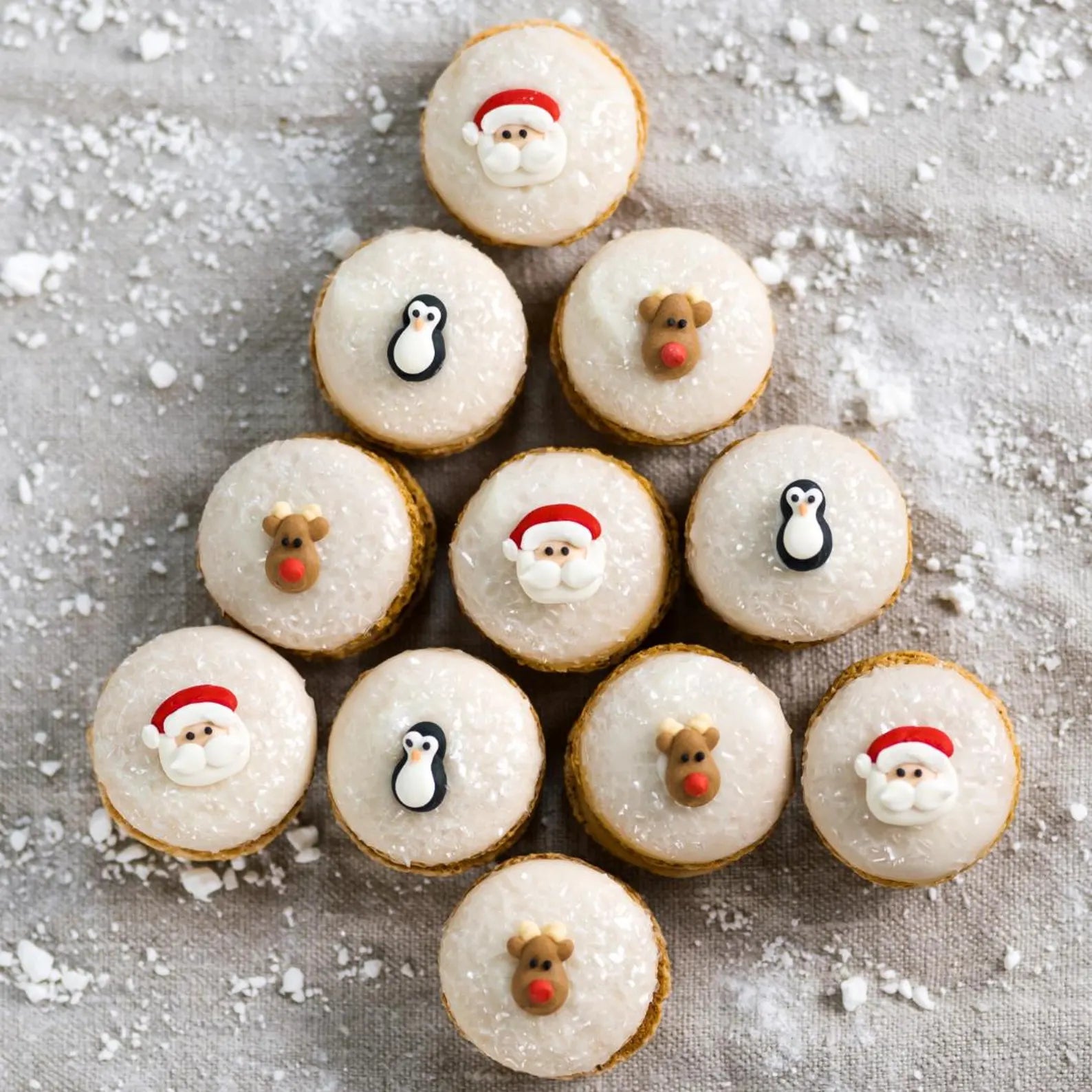Christmas Icing Shapes (12)