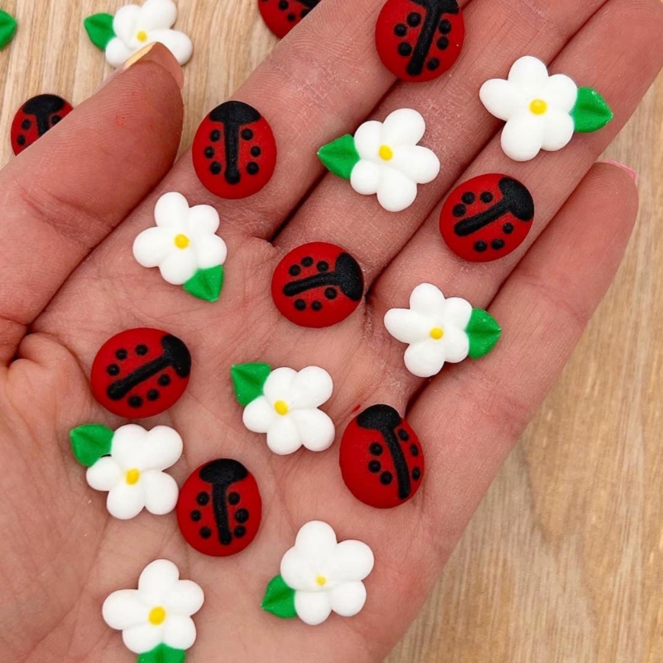 Icing Ladybugs & Daisies
