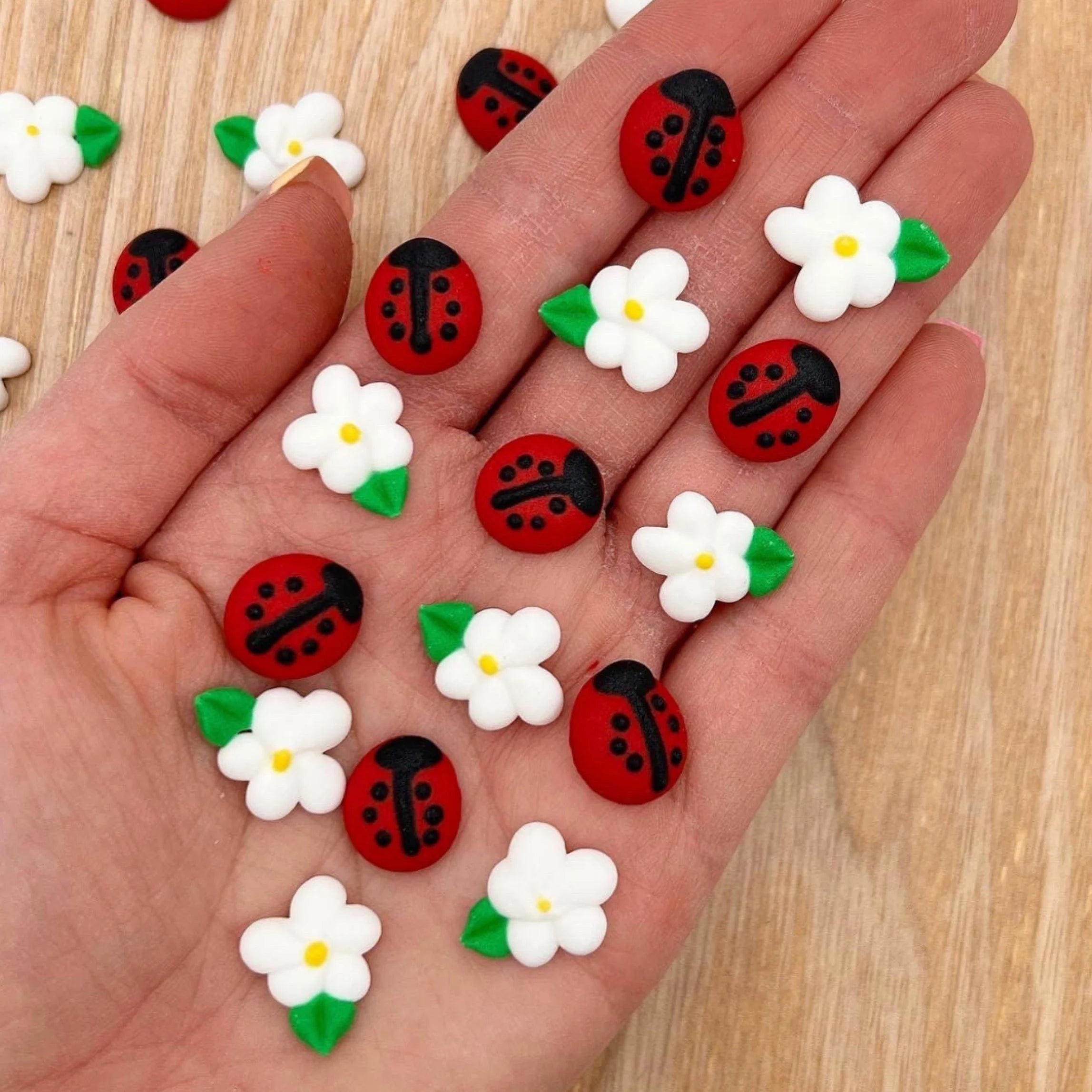Icing Ladybugs & Daisies