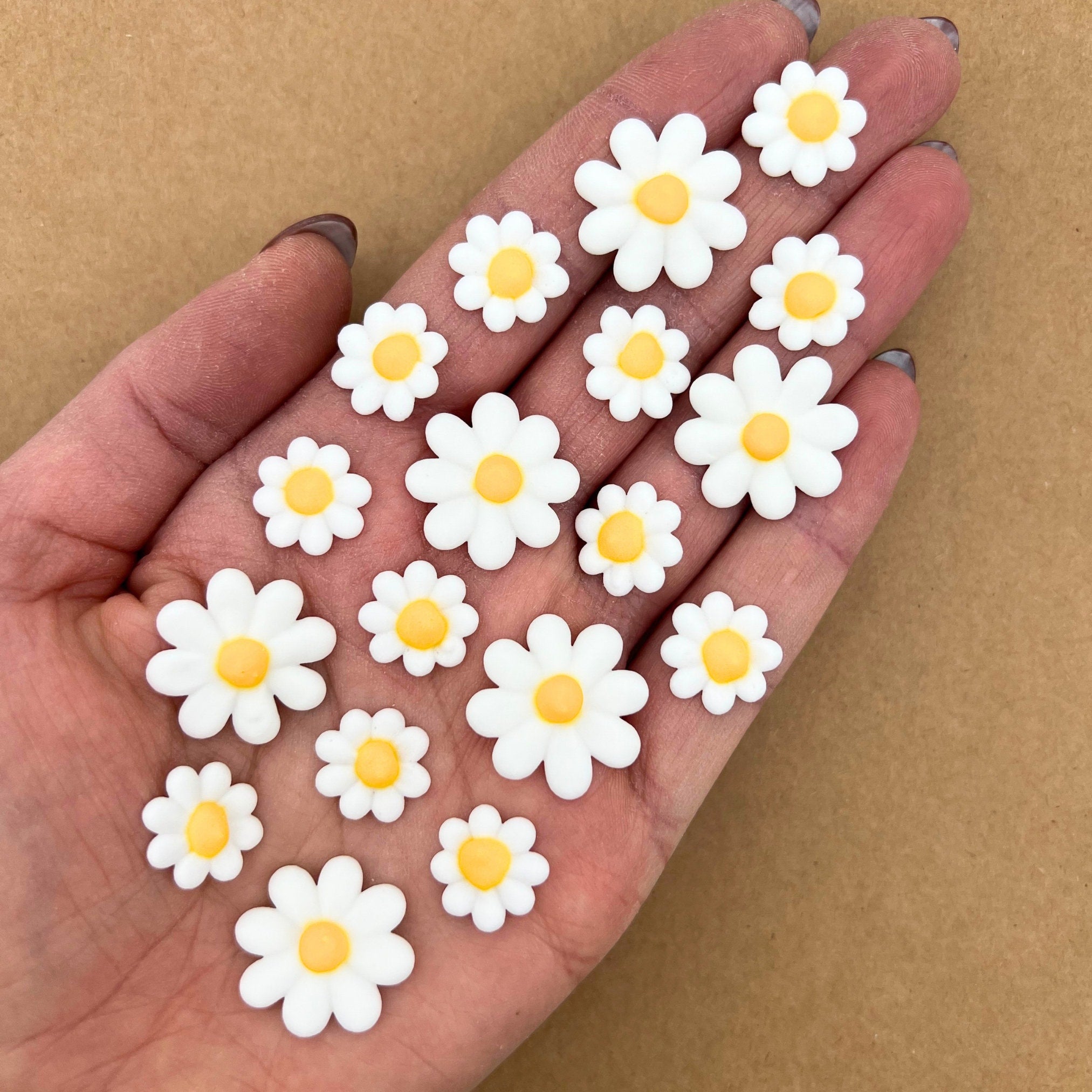 Icing Daisies