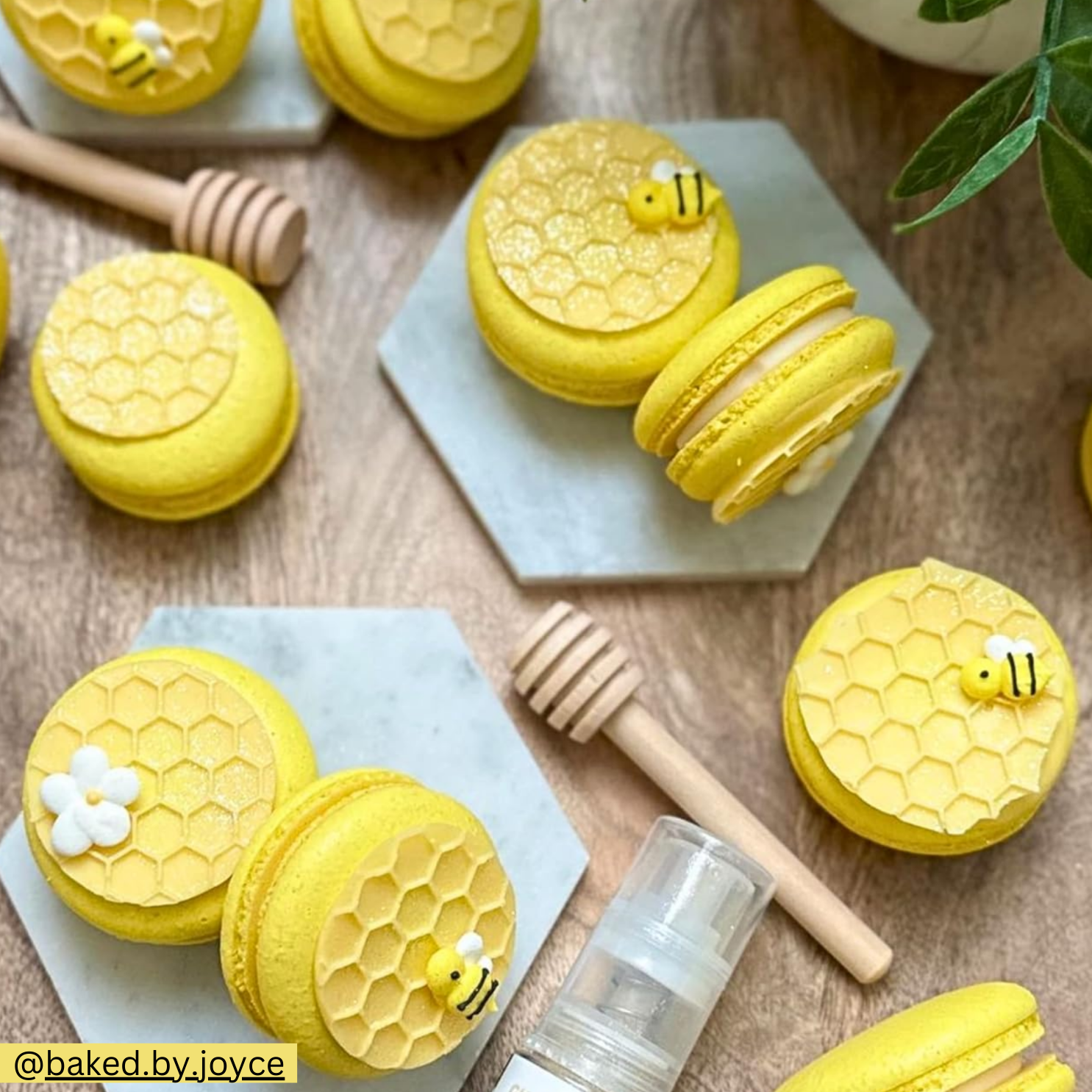 Icing Bees & Blossoms (16)