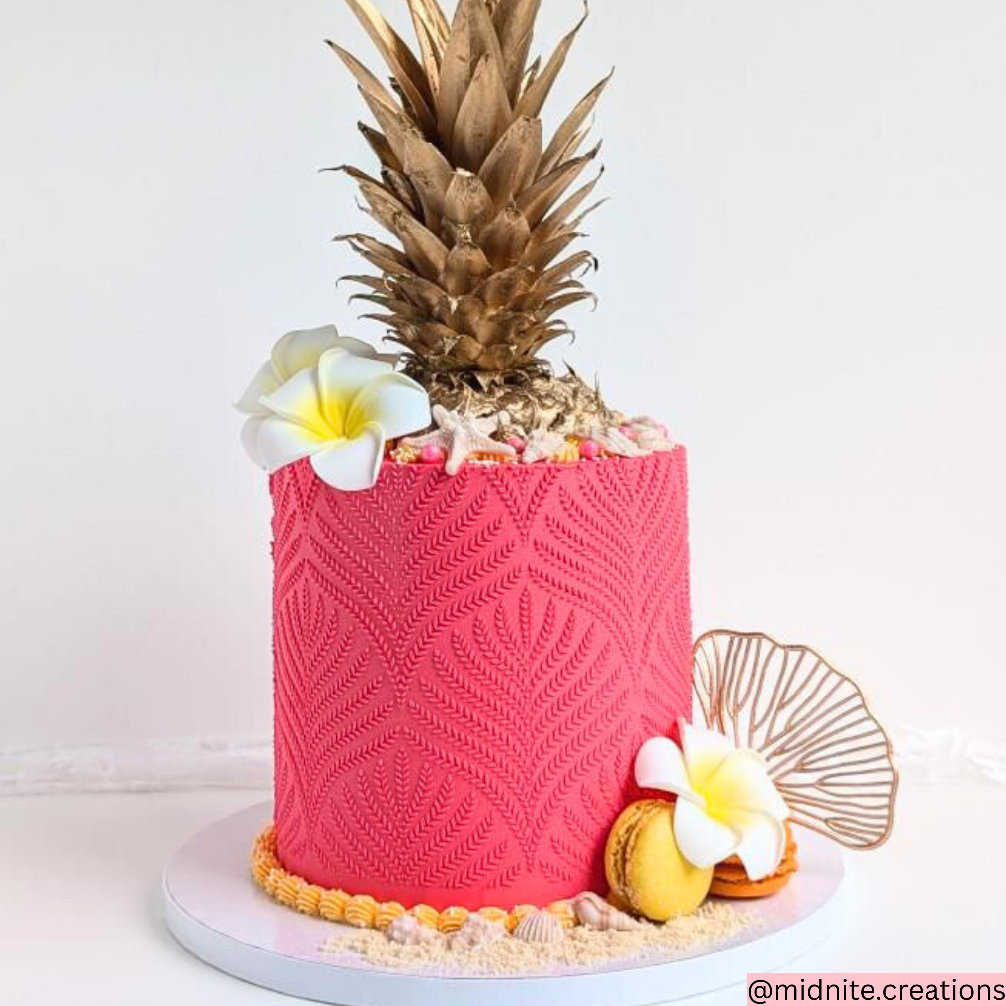 Dye-Free Natural Seashells (15)