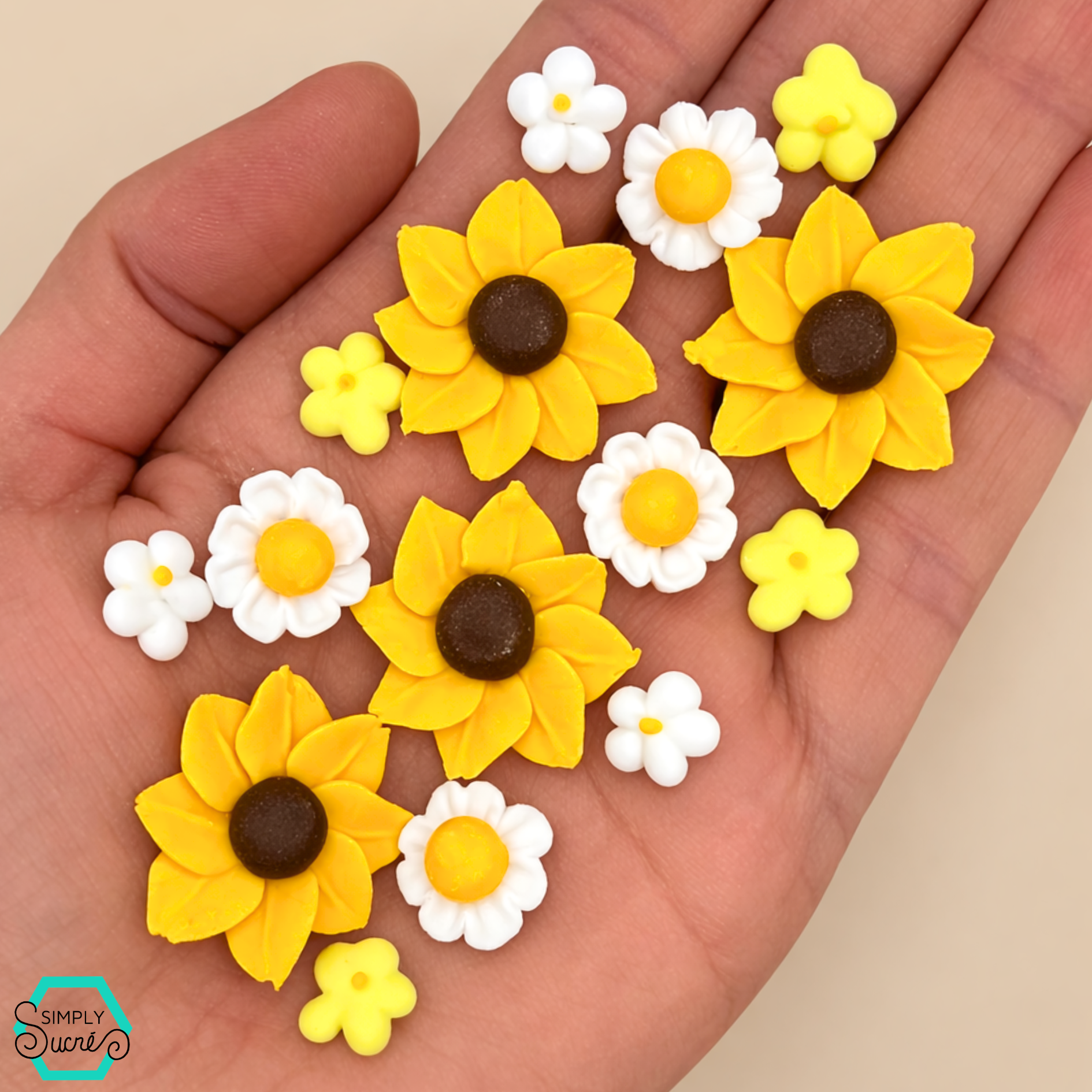 Sunflowers & Daisies (26)