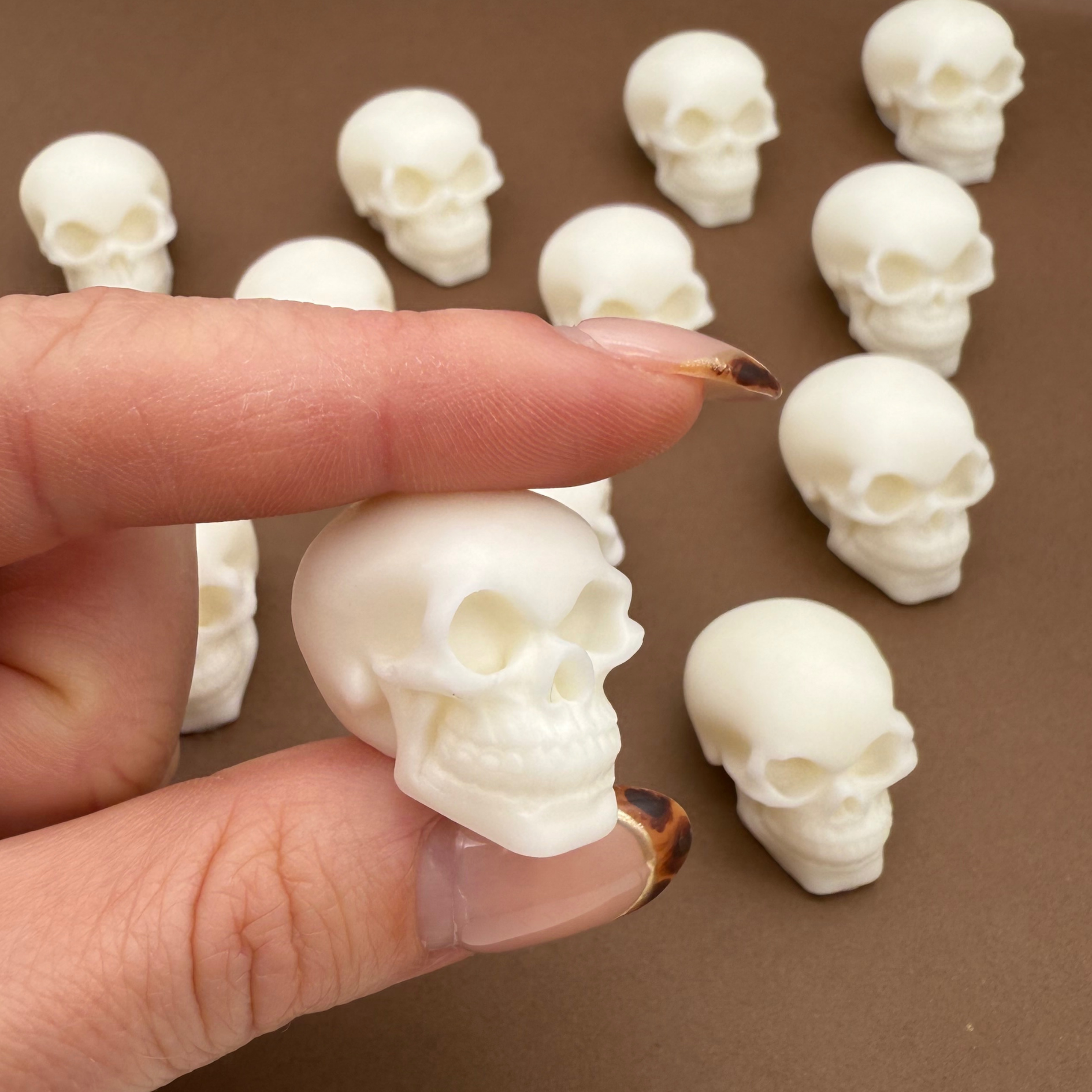 Dye-Free White Skulls (6)