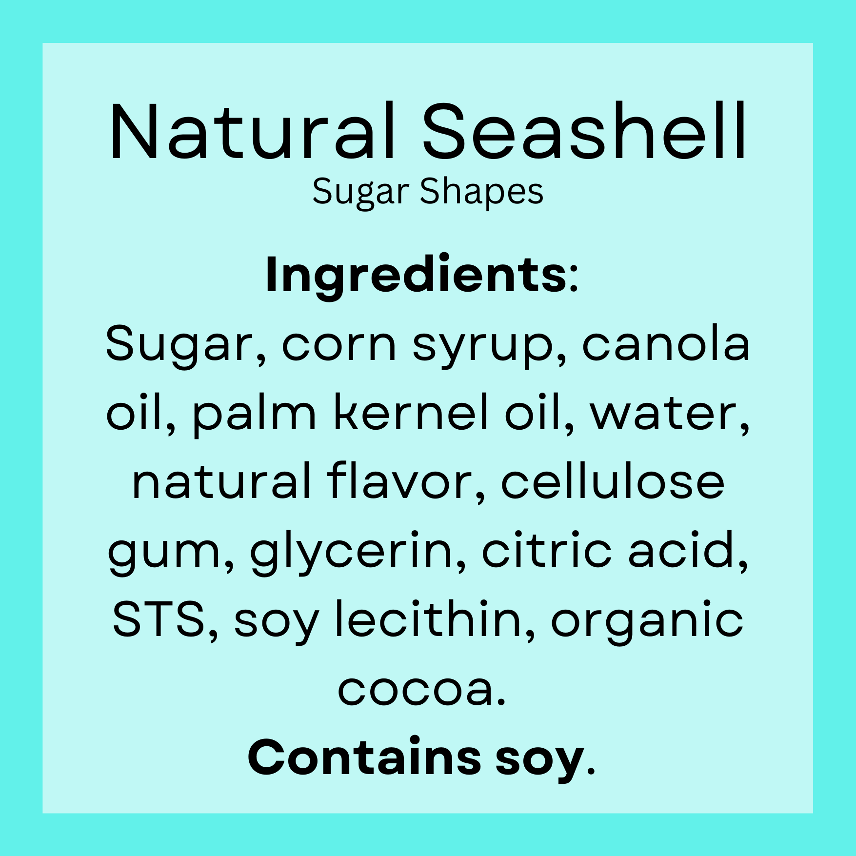 Dye-Free Natural Seashells (15)