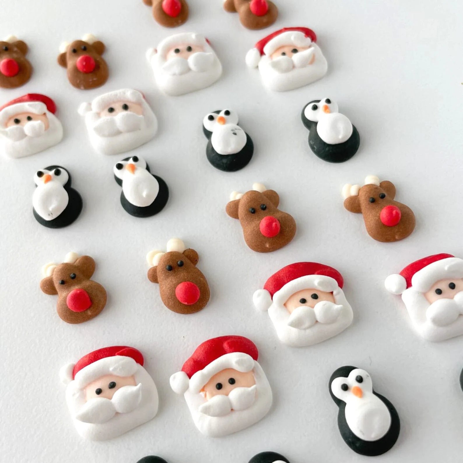 Christmas Icing Shapes (12)