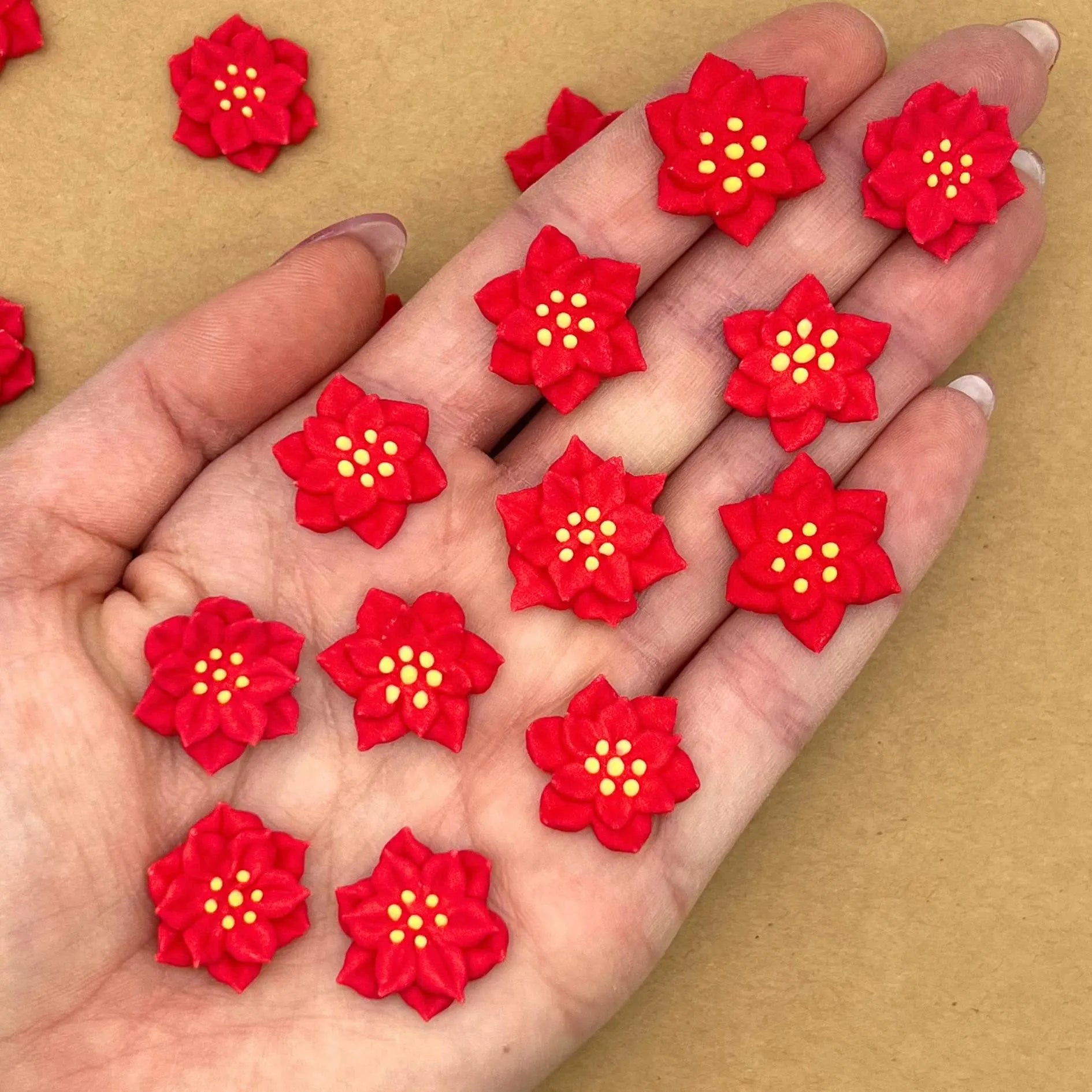 Red Poinsettias (12)