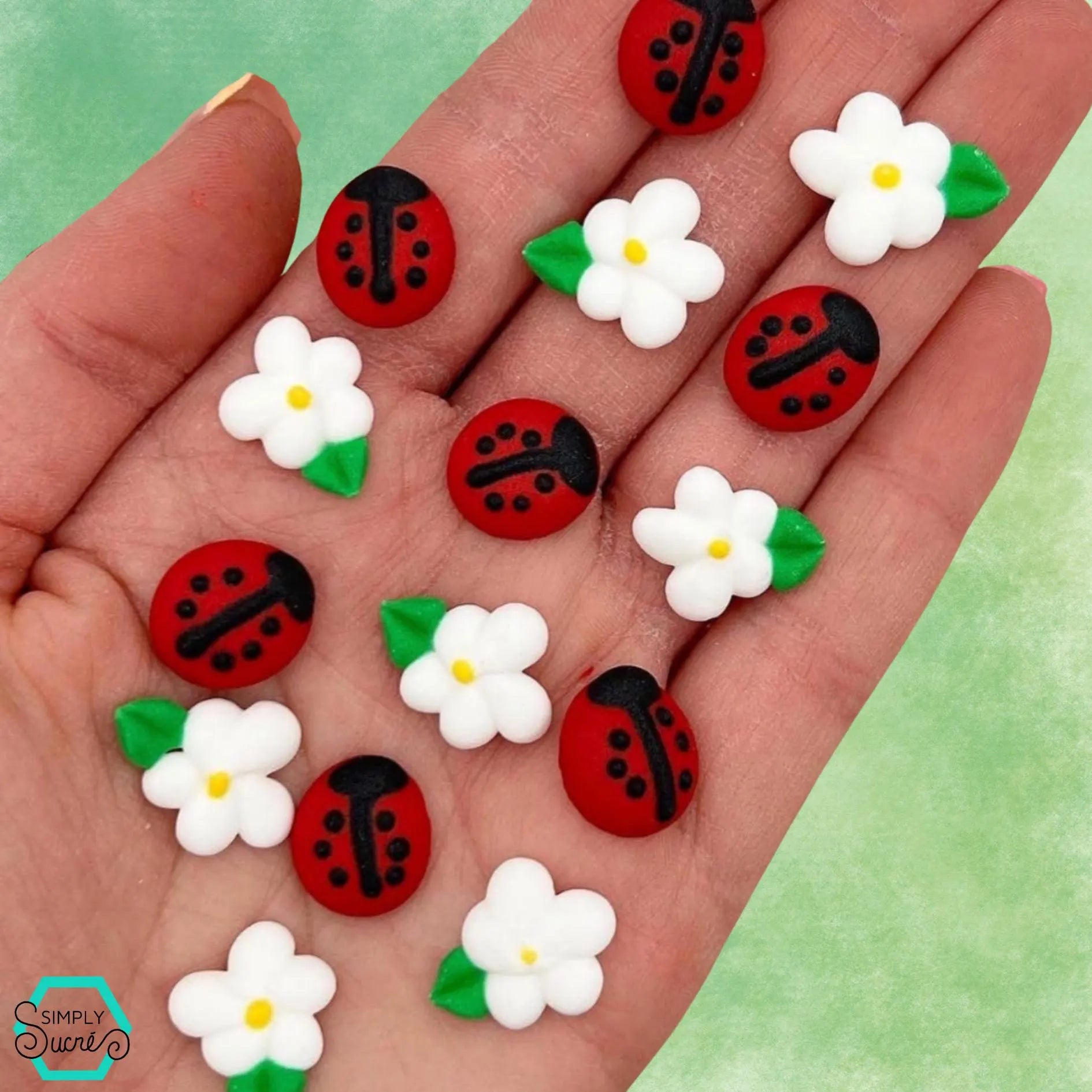 Icing Ladybugs & Daisies (18)