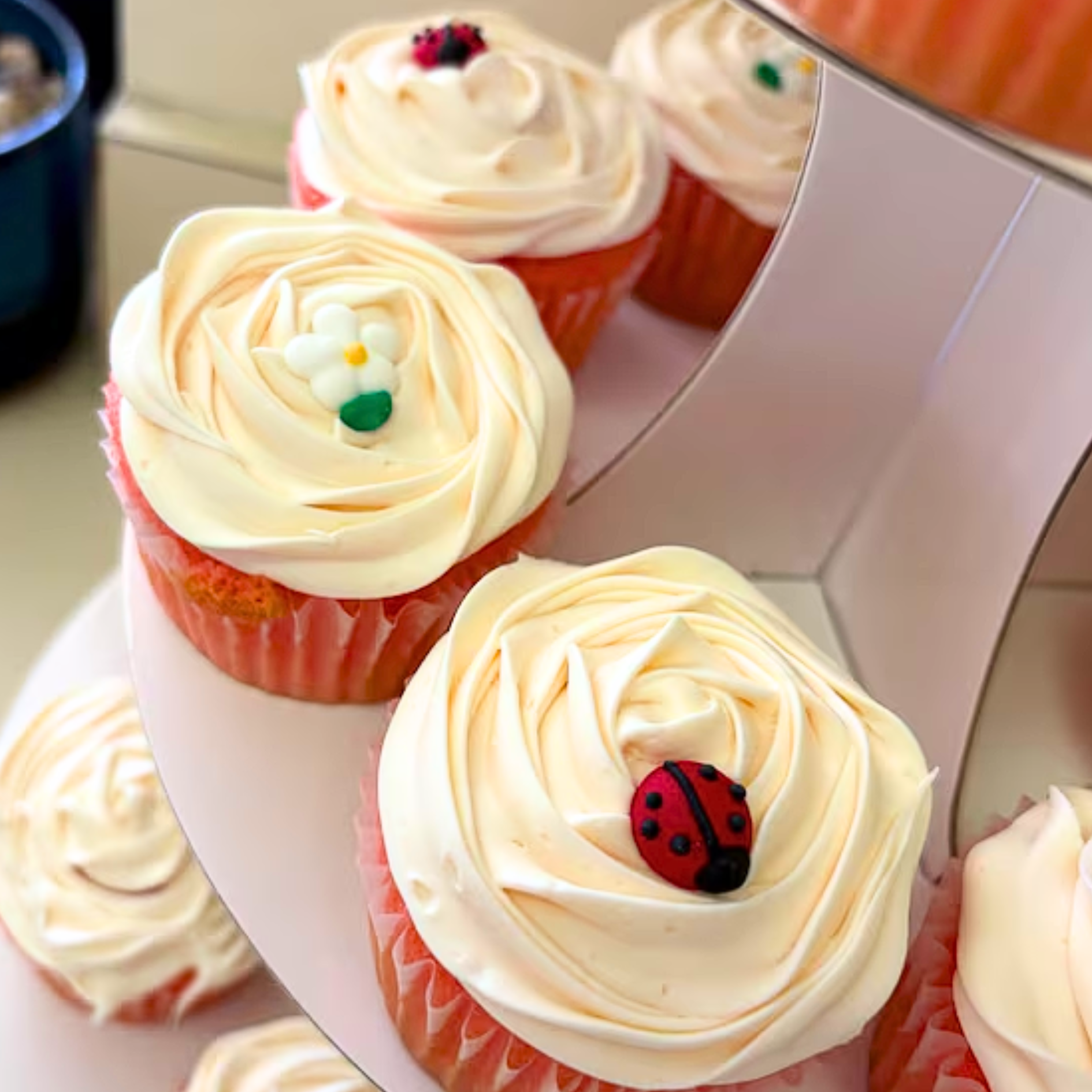 Icing Ladybugs & Daisies (18)